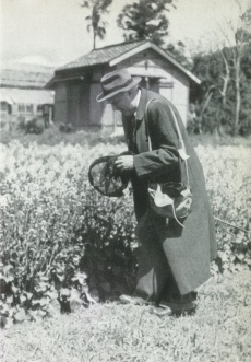 Walter GIESEKING, 1951, en tournée au Japon, pendant ses loisirs, chassant le papillon..., cliquer pour une vue agrandie
