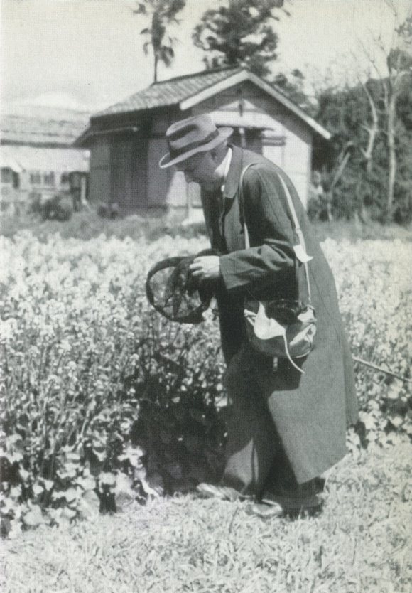 Walter GIESEKING, 1951, en tournée au Japon, pendant ses loisirs, chassant le papillon...
